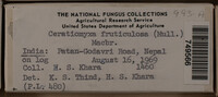 Image Associated With the Occurence